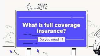 Ask The Zebra Anything - What is full coverage insurance?