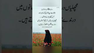 farman Hazrat Muhammad #quotes #foryou #poetry