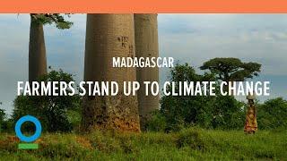 Farmers in Eastern Madagascar Stand up to Climate Change