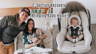 BIRTH VLOG PART 2- Recovery & Bringing Baby Home!! | Logan & Morgan