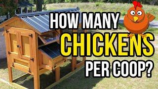 How many chickens fit in a coop? The real answer!