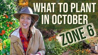 What To Plant in October Zone 6