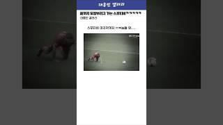 끝까지 꼬장 부리고 가는 스포티비ㅋㅋㅋㅋㅋ