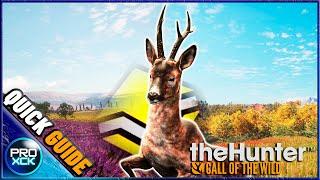 Roe deer Guide for Hirschfelden - theHunter Call of the Wild