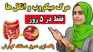 انگل معده | پاکسازی و سم زدایی معده و روده به روش خانگی که کسی بهت نگفته !