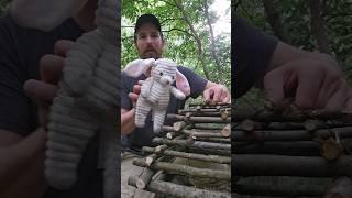 Making a survival cage trap for small animals or birds