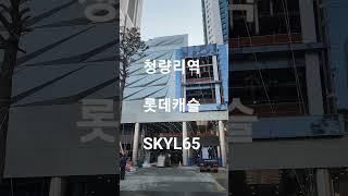 [매물접수] 청량리역 롯데캐슬 SKY-L65 미스터홈즈부동산 청량리센터