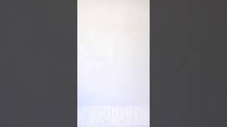 Making a 3D Printed Wall Sculpture - Vortex Sprouts