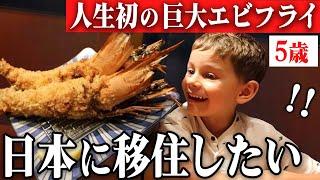 ポーランドの仲良し家族！人生初の特大エビフライ＆カツカレーに驚きと感動が止まらない、、、さらに、うまい棒のお土産に5歳のミヤシコくんが かつてないほどの大喜び！