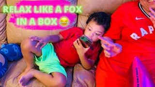 Browser Baby | Relax like a Fox in a Box