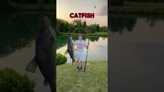 WHAT To Use To Catch Catfish!!  #shorts #fishing