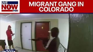 Heavily-armed 'migrant gang' takes over apartment building in Colorado