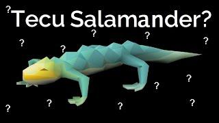 The New Tecu Salamander Review -  We can melee Armadyl now! (OSRS)