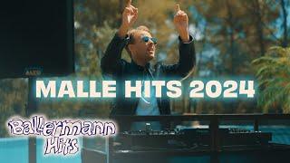 DJ Aaron - Malle Hits 2024 - DAS DJ SET ZUM BALLERMANN OPENING! (Offizielles Live Video)