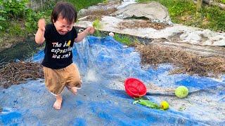 Why is Diem afraid of small insects in her grandma's countryside?