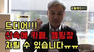 산 가지고 있는 분들!! 드디어!!! 6월부터 산속에 카페, 캠핑장 만들 수 있어요!!