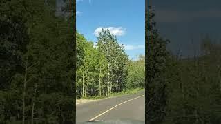 Beautiful Alberta #canadalife #nature #canada #calgary #alberta