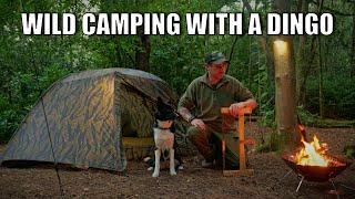 wild camping in the RAIN with my dog