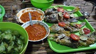 Ikan Super Mahal Cuman Di Goreng Doang, Tapi Rasanya Menggit Tembus Ke Jantung.