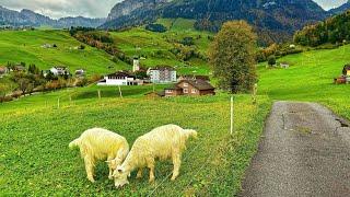 Switzerland countryside - Walking in the paradise - most beautiful places in Appenzellerland