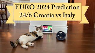 Cat predicting a Croatia  WIN vs Italy  tonight 24/6 EURO 2024  #euro2024 #croatia #italy