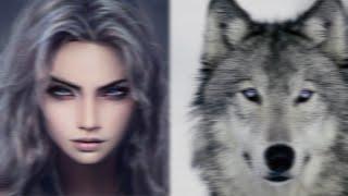 = wolf beauty = ultimate wolf-like features