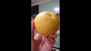 This Japanese Pear was Expensive but Tasty!