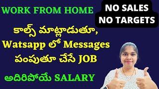 work from home jobs 2023 | Ditto jobs | whatsapp jobs | ditto insurance advisor | sravanthikrishna