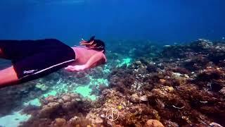 Freediving somewhere in Coron, Palawan (2nd Day Freedive Camp - beginner)