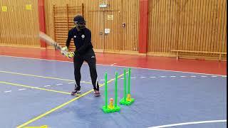 Frankfurt International CricKingdom Cricket academy by Rohit Sharma - Germany