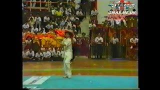 Ditangquan 地趟拳 Master Lang Rong Biao