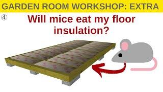 Garden Room Workshop Extra | How To Stop Mice Under Your Floor!