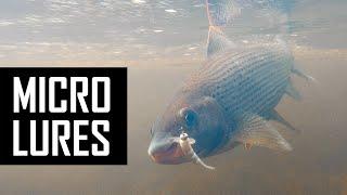 How to catch Trout and Grayling on micro lures?