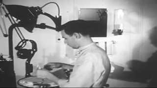 "The Duties Of A Dental Technician" 1944 US Navy Film (full)