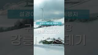 강원도의 설경이 아름다운 여행지 - 구름 위의 땅 강릉 안반데기 #강원도여행 #안반데기 #은하수