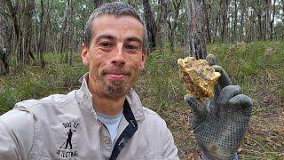 100,000K GOLD NUGGET FOUND METAL DETECTING