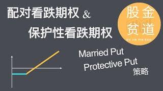 配对看跌期权和保护性看跌期权策略(Married Put & Protective Put)