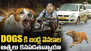 Why Dogs Chases Bikes, US Elections 2024 | Donald Trump USA | Telugu | VR Raja