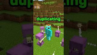 Minecraft Shulker Duplication?! 