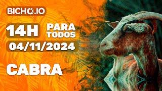 Resultado ao vivo PARATODOS # 14H - PT - 04/11/2024