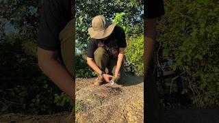 Survival Skills - How to Make a Fire With Used Cans#survival #lifehack #bushcraft #ASMR #outdoors