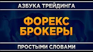 Кто такие форекс брокеры? Трейдинг для начинающих