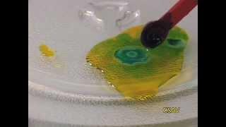 CSAV Hawaii: Science Trick with Isopropyl