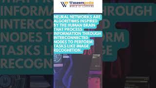 3| do you know Neural networks  #computerscience #facts #factshorts #waseempedia