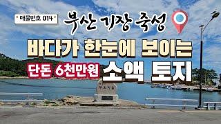 [014호]  부산 기장 죽성리 바닷가 마을 바다가 한눈에 보이는 긁지 않은 복권같은 소액토지 051-722-0200