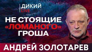 Искры из глаз, или Гром и молния. Андрей Золотарев. Дикий LIVE.