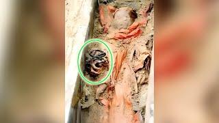 The mummy of a 400-year-old woman who is incorruptible holds Buddhist beads as if she is asleep.