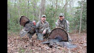 Georgia Turkey Hunt: Finally kill a longboard at the house!