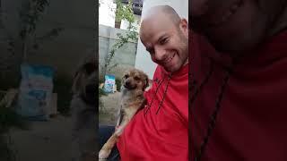 Small 5 kg dog saved with a broken leg from a truck park! 