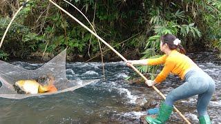 Top Fishing Videos: Best Fishing Skills, Amazing Fishing Techniques Catching Huge Fish